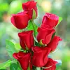 Aaditya Patel 72 - @aaditya.patel.72 - TikTok