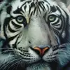 Aaditya Patel - @aadityapatel67 - TikTok