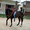 SON OF SIKOTAR - @aakarpatel1 - TikTok