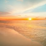 Aakash Sengupta - @aakashsengupta19 - Instagram
