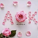 Aakrit Kumari - @aakritkumari - Instagram