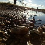 Aaliyah Dickson - @aaliyahs_photography638 - Instagram