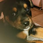 Ella Eldridge - Facebook