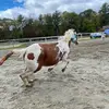 Aliyah Malcolm - @saints.lucky.bella - TikTok