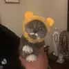 Aaliyah Sanchez ♡ - @aaliyah.sanchez - TikTok