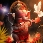ãäłøk mehta - @aalokmehta4 - Instagram
