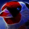 hassan amer - @hassan.aamer - TikTok