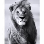 Aamir Saeed - @aamirsaeed2018 - Instagram