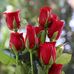 Aamna Bibi - Facebook