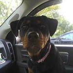 Aaron Abbe - @aaron.abbe - Instagram