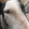 Aaron Acero - @aaron.acero2 - TikTok