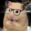 aaron_acero - @aaron_acero - TikTok