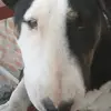 aaronacero987 - @aaronacero987 - TikTok