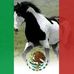 Juan Aron Vega Acevedo - Facebook