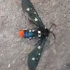 Aaron Herchenbach - @aaron.herchenbach0 - TikTok