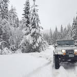 Aaron Ackermann - @mobythegreatwhitejeep - Instagram