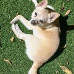 Aaron Adelman - @aaron.adelman - Instagram