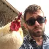 aaronfalber - @aaronfalber - TikTok
