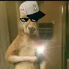 aaronagudelo593 - @aaronagudelo593 - TikTok