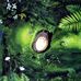 Aaron Ahn - Facebook
