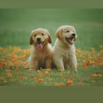 Aaron Aidoo - @aidooaaron03 - Instagram