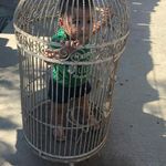 Aaron Elizalde - @aaron_aispurosinaloa - Instagram