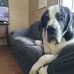 Aaron Akers - Facebook