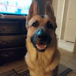 Aaron A - @aarons.albaugh - Instagram