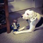 Aaron Albee - @darksong999 - Instagram