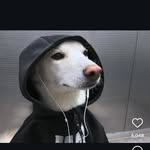 Aaron Albino - @albino.aaron - Instagram