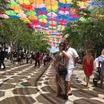 Aaron Albrecht - @aaron_albrecht44 - Instagram