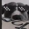 Aaron alcala - @aaronalcala27 - TikTok