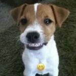 aa - @aaronalcott - Instagram