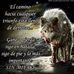 Aaron Aldaco - Facebook