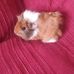 Aaron Stefan Aldinger - Facebook