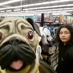 Aaron Alfrey - @aaron.alfrey.5 - Instagram