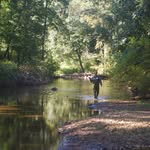 Aaron Allman - @abranchintheriver - Instagram