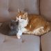 Aaron Althouse - Facebook