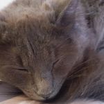 Aaron Althouse - @aaronalthouse - Instagram