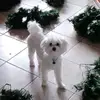 Aron Altieri - @miioj03 - TikTok