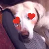 user298378494429 - @aaronalverson0918 - TikTok