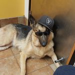 Aaron Alves - @aaron.alves.3 - Instagram
