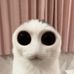 Aaron Alves - Facebook