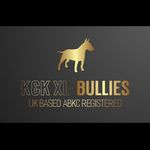 Aaron Alves - @kk_xlbullies - Instagram