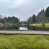 Aaron Alves - @aaron.alves96 - TikTok