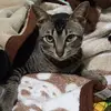AaronAlvin - @aaronalvin_2499 - TikTok