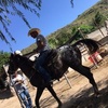 Aaron Amado20 - @aaron_amado21 - TikTok