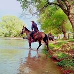 Aaron amado - @amadoo17 - Instagram