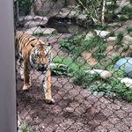 Aaron Amburgey - @amburgey327 - Instagram