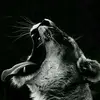 aaronamen440 - @aaronamen440 - TikTok